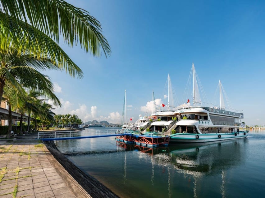 Halong Bay Cruise Trip : Caves, Buffet Lunch, Kayak, Titop