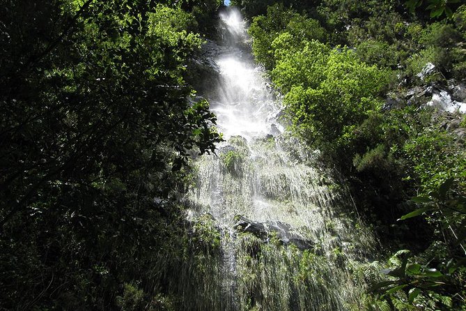 Hidden Corners: Levada Walk From Funchal