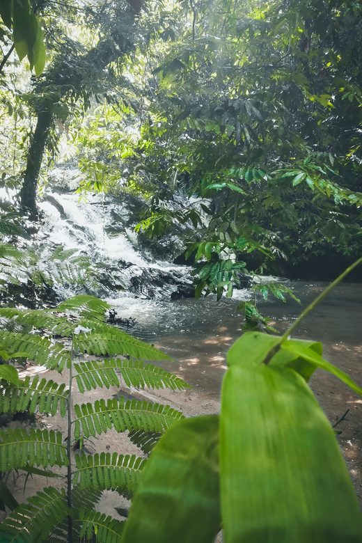 Hidden Waterfall Hiking Adventure