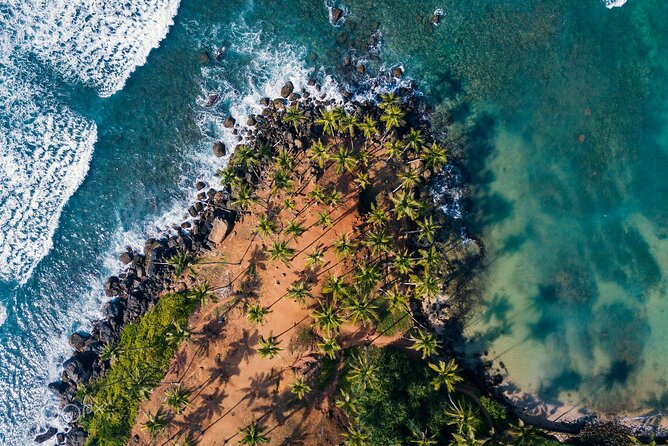 Highlights of Sri Lanka 8 Days Private Tour