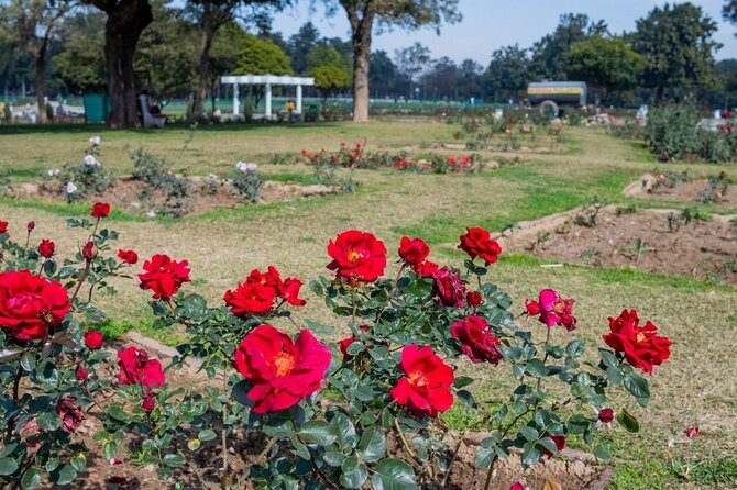 Highlights of the Chandigarh (Guided Half Day City Tour) - Explore ISKCON Temple