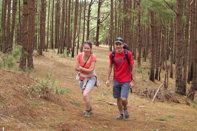 3 Best Hiking And Trekking Tours In Da Lat