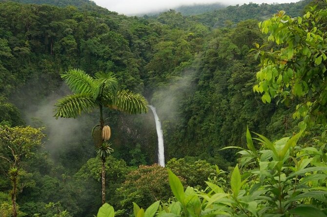 Hike & Nature (Hanging Bridges and Fortuna Waterfall) Incl Lunch
