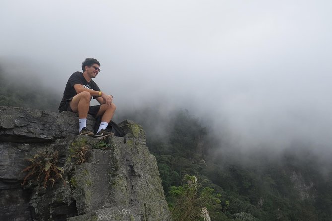 Hiking High Andean Forests