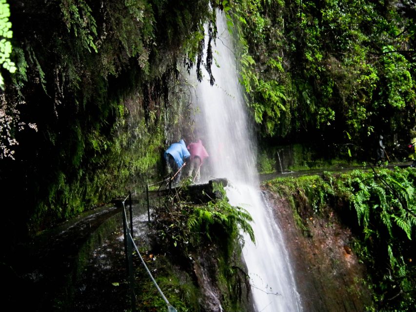 Hiking in Madeira: the Serene Levada Do Rei Experience