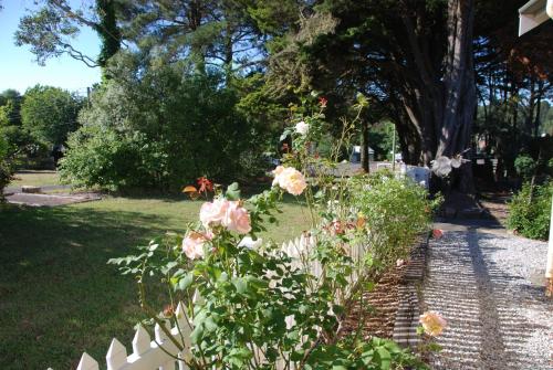 Hillside Cottage Berrima - Property Overview