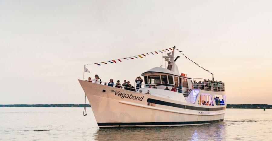 Hilton Head Island: Sunset Dolphin Cruise