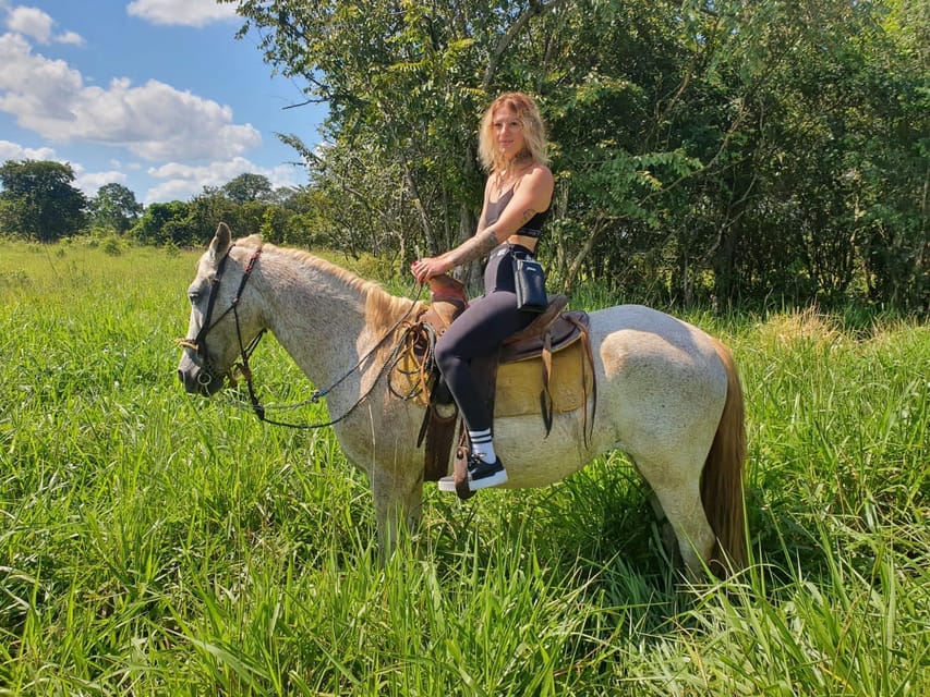 Holbox: Private Horseback Riding - Activity Overview