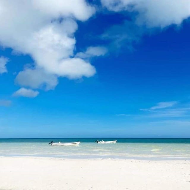 Holbox: Whale Shark and Snorkeling Tour