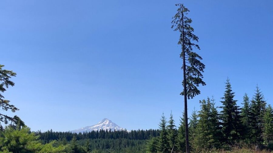 Hood River: All-Day E-Bike Rental - Activity Overview