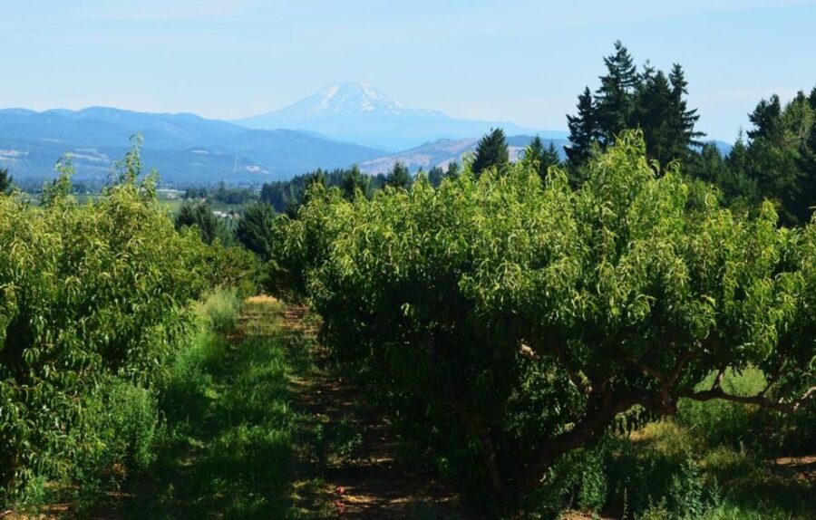 Hood River: Gift Basket Factory Tour