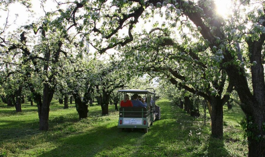 2 Best Tours In Hood River