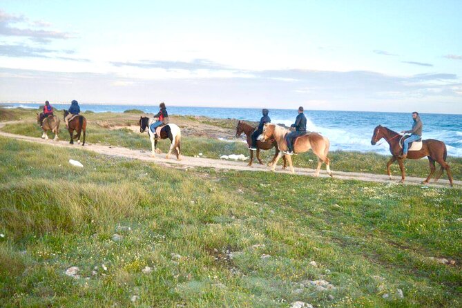Horse Ride in a Salento Nature Reserve With Transfer From Lecce - Overview of the Experience