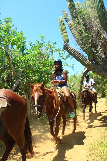 Horseback and UTV Ride on the Beach With Tequila Tasting