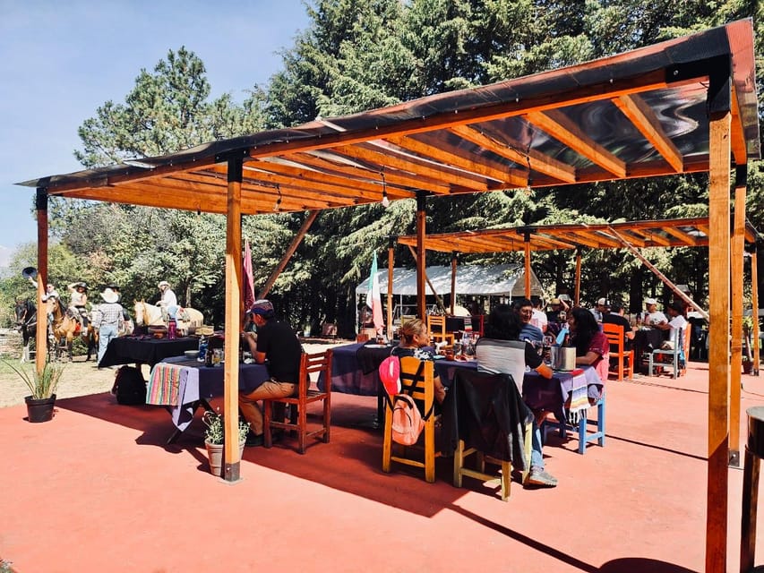 Horseback in the Mountains & Food in Our Ranch