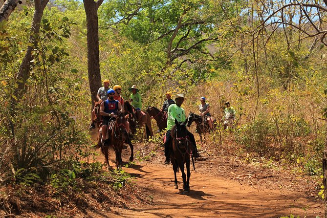 Horseback Riding at Diamante Eco Adventure Park