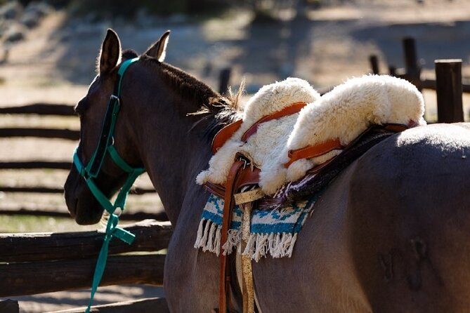 Horseback Riding Experience in the Estancia 25 De Mayo Nature Reserve