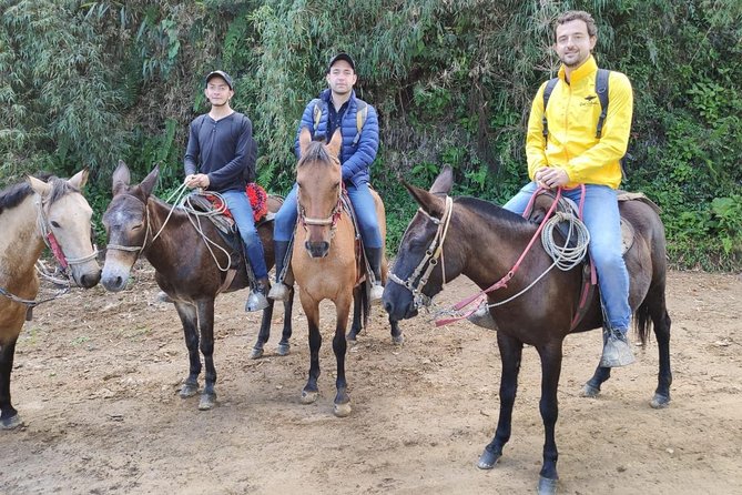 Horseback Riding From Guadalupe to Monserrate Private Day-Tour - Itinerary and Activities