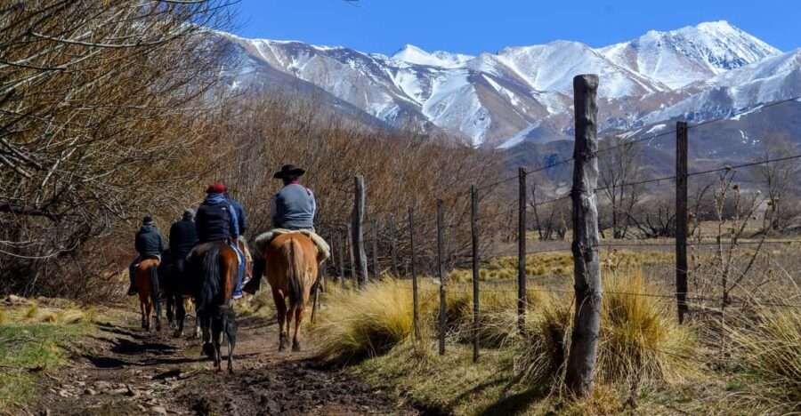 Horseback Riding in the Andes Mountain - Experience Details