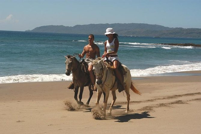 Horseback Riding Jungle and Beach in Playa Flamingo - Overview of the Tour