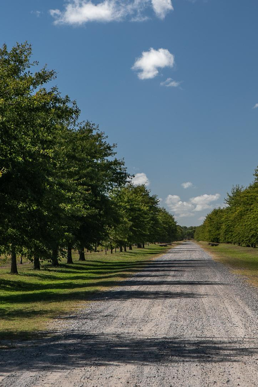 Horses, Asado & Nature. a Day at a Thoroughbred Farm