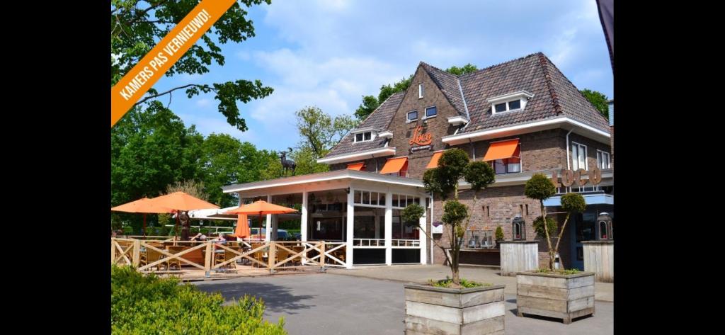 Hotel Loco - Hotel Overview
