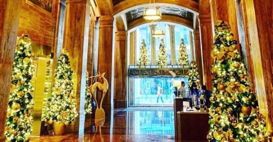 25 Best Tours In Houston
