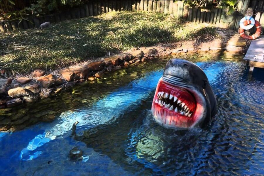 Houston Tour and Aquarium Ticket - Tour Overview and Pricing