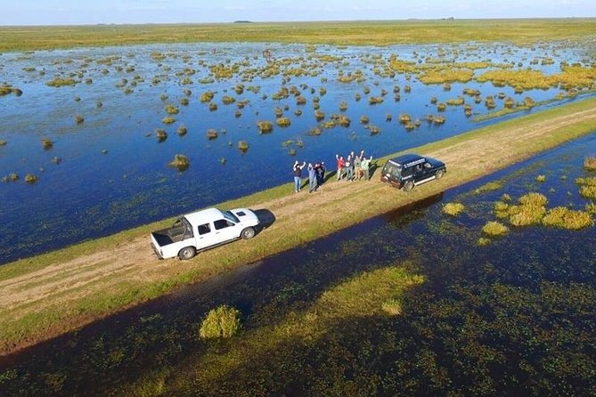 Ibera Safari