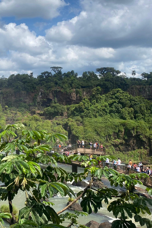 Iguazu Falls: Explore Both Sides in One Day BRASIL-ARGENTINA - Tour Overview
