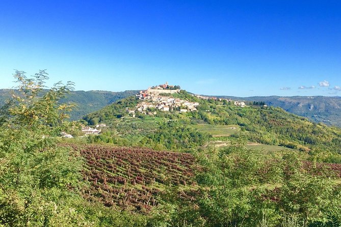 Istrian Hill Top Cities Tour With Truffle and Olive Oil Tasting