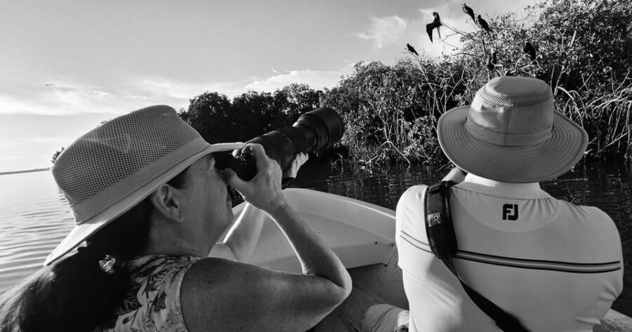 Ixtapa: Aztlan Birdwatching Adventure