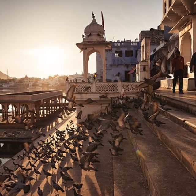 Jaipur To Pushkar One Day Tour By Car