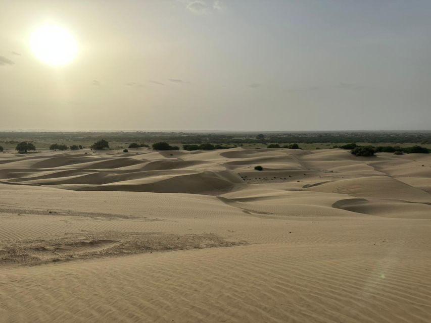 JAISALMER DESERT EXPERIENCE : SLEEPING UNDER THE STAR