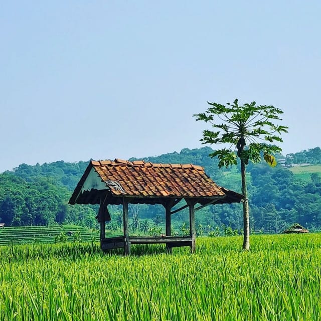 Jakarta: Volcano, Tea/Rice Fields, Hot Spring, Local Food