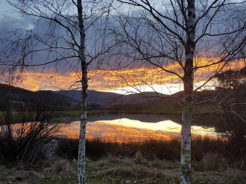 Jamieson Valley Retreat - Serene Surroundings