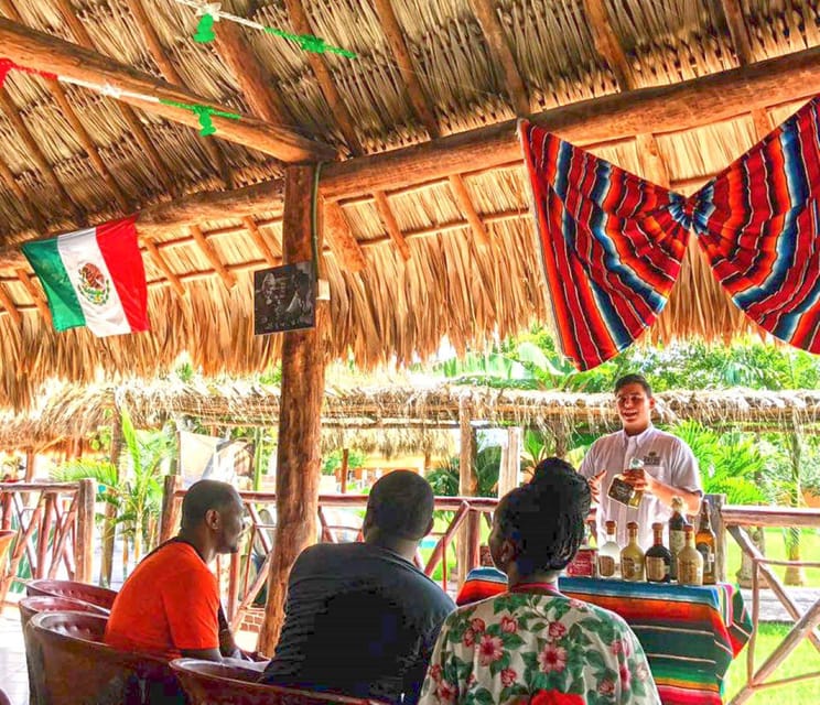 Jeep Adventure Cozumel Island and San Gervasio Mayan Ruins