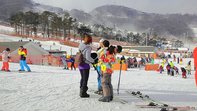 Jisan Ski Resort Serving Breakfast From Seoul (No Shopping) - Pricing and Cancellation Options