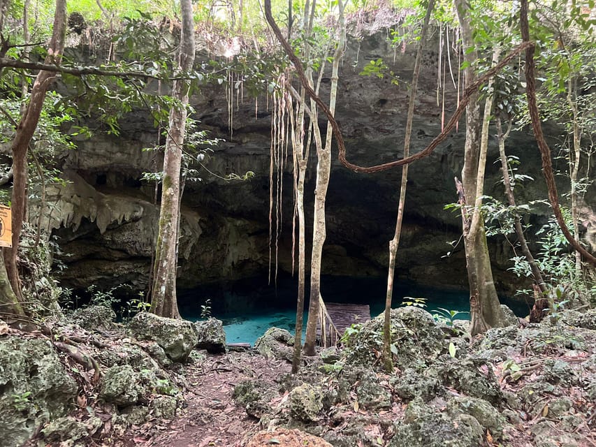 Jungle and Secret Cenote Excursion