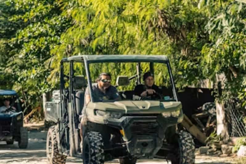Jungle Buggy Tour