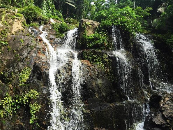 Jungle Canopy Zipline & Waterfall Rappelling - Bocawina Falls - Tour Overview and Activities