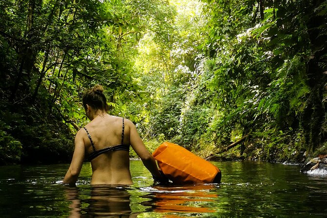 2 Best Hiking And Trekking Tours In Drake Bay