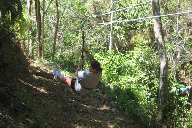 Jungle Top Zipline, Monkeys& Sloths + West Bay Beach
