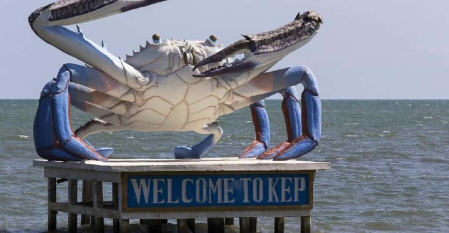 Kampot Day Trip to Pepper Farm, Temple/Market and Salt Field