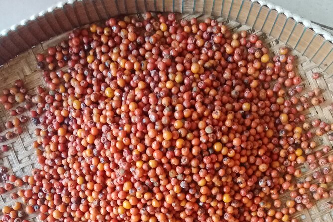 Kampot Pepper Farm and Kep. Crab Market - Tour Packages and Pricing