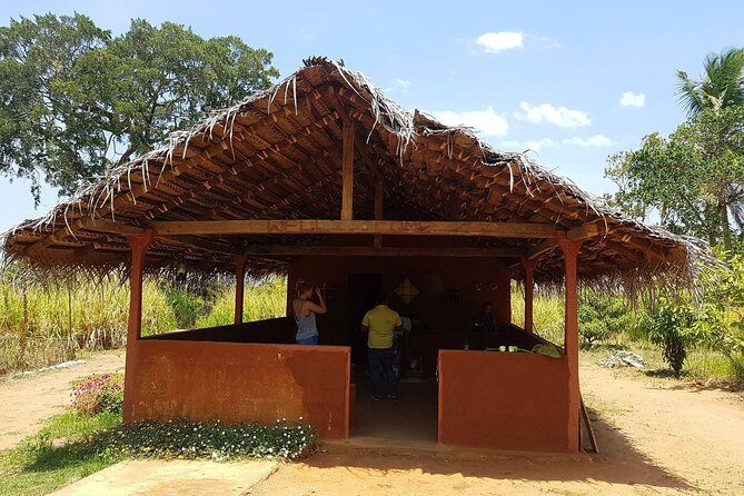 Kandy – Sigiriya Full-Day Private Tour