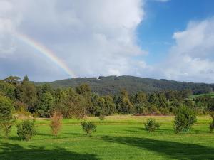 Karri Aura - Property Overview