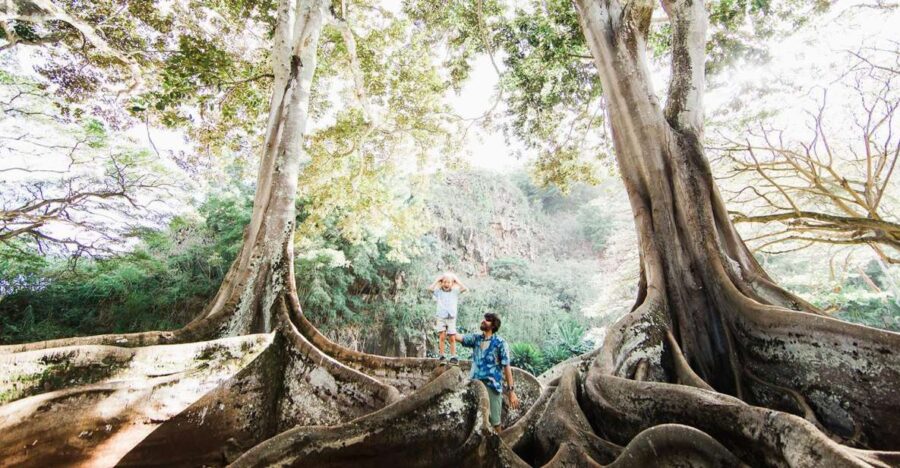 9 Best Guided Tours In Kauai