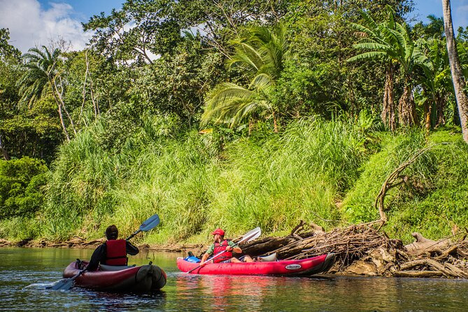 Kayak Safari - Activity Overview