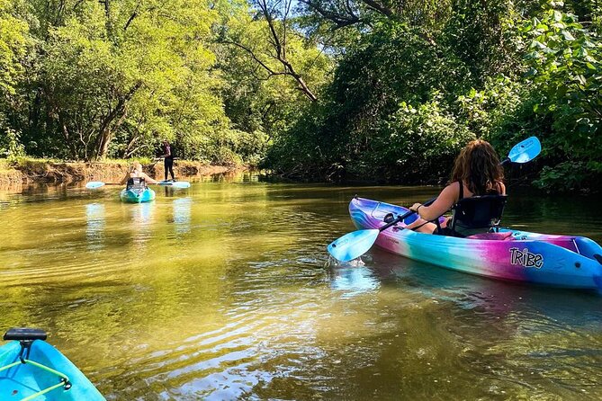 Kayak Through the Mangroves